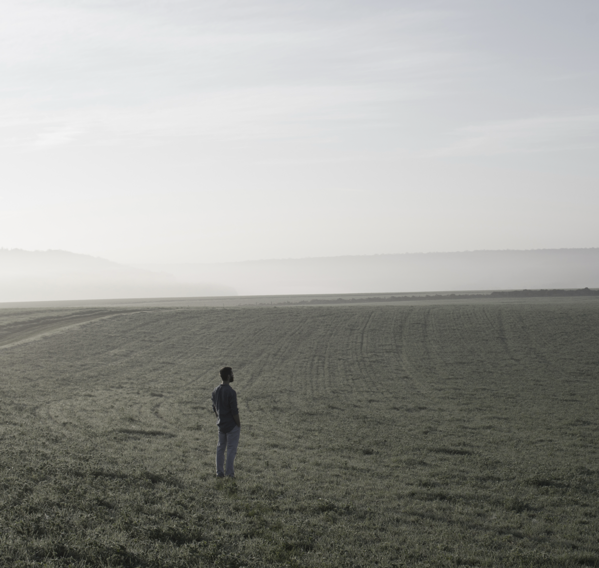 Nous sommes paysages